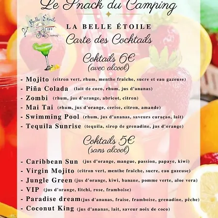 Mobil-home Le Petit Paradis 营地 Breuillet (Charente-Maritime)